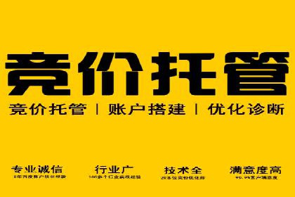 竞价端口开户成功助力企业增长